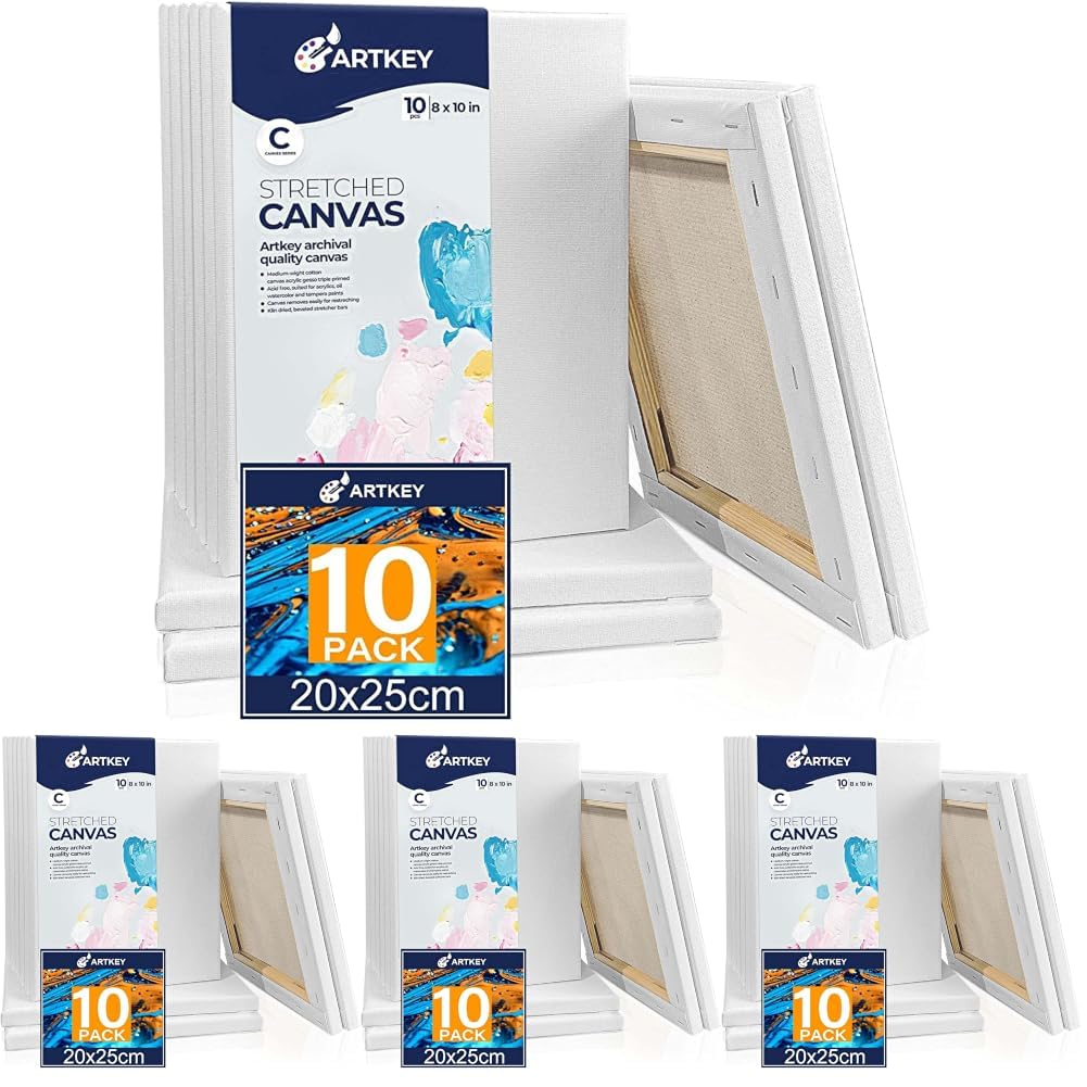 Gallery Wrapped Stretched Canvases for Painting 10x10 Inch 3-Pack, 16 oz Triple Primed Acid-Free 100% Cotton Blank Canvas, Square Spline Canvas for Oil Paint Acrylics Pouring & Wet Art Media