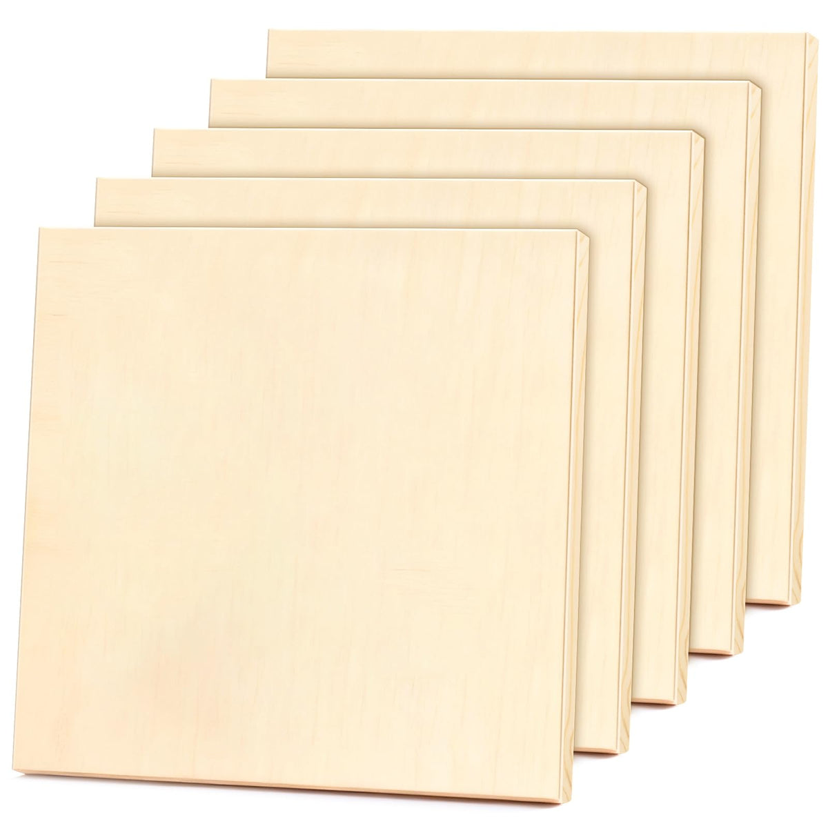 FSWCCK 5 Pack 8 x 10 inch Wood Panel Boards, Unfinished Wood Canvas Panels for Crafts, Painting Canvas, DIY Art Projects, Pouring, Arts Use with Oils, Acrylics